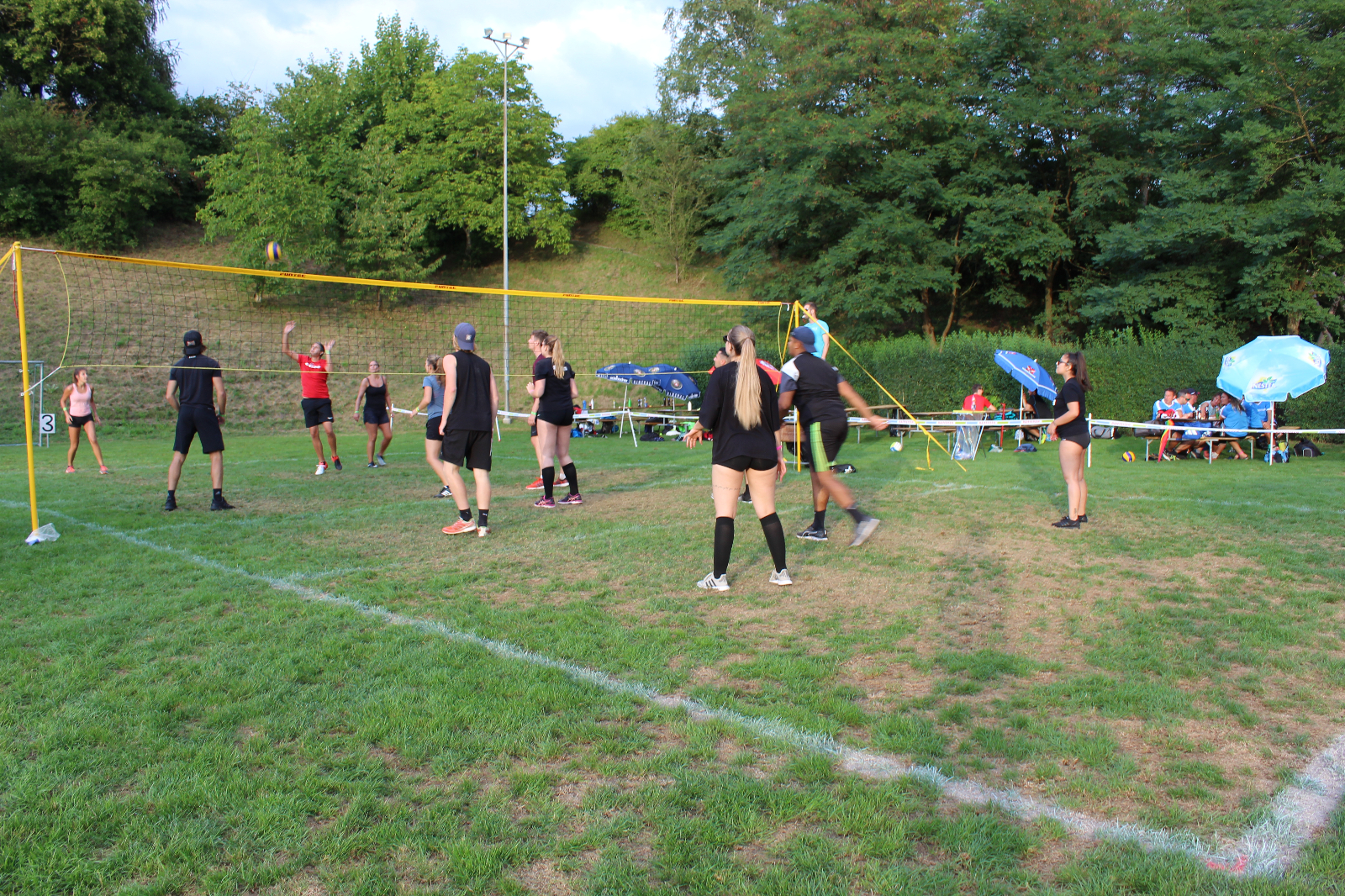 Volley  (135)